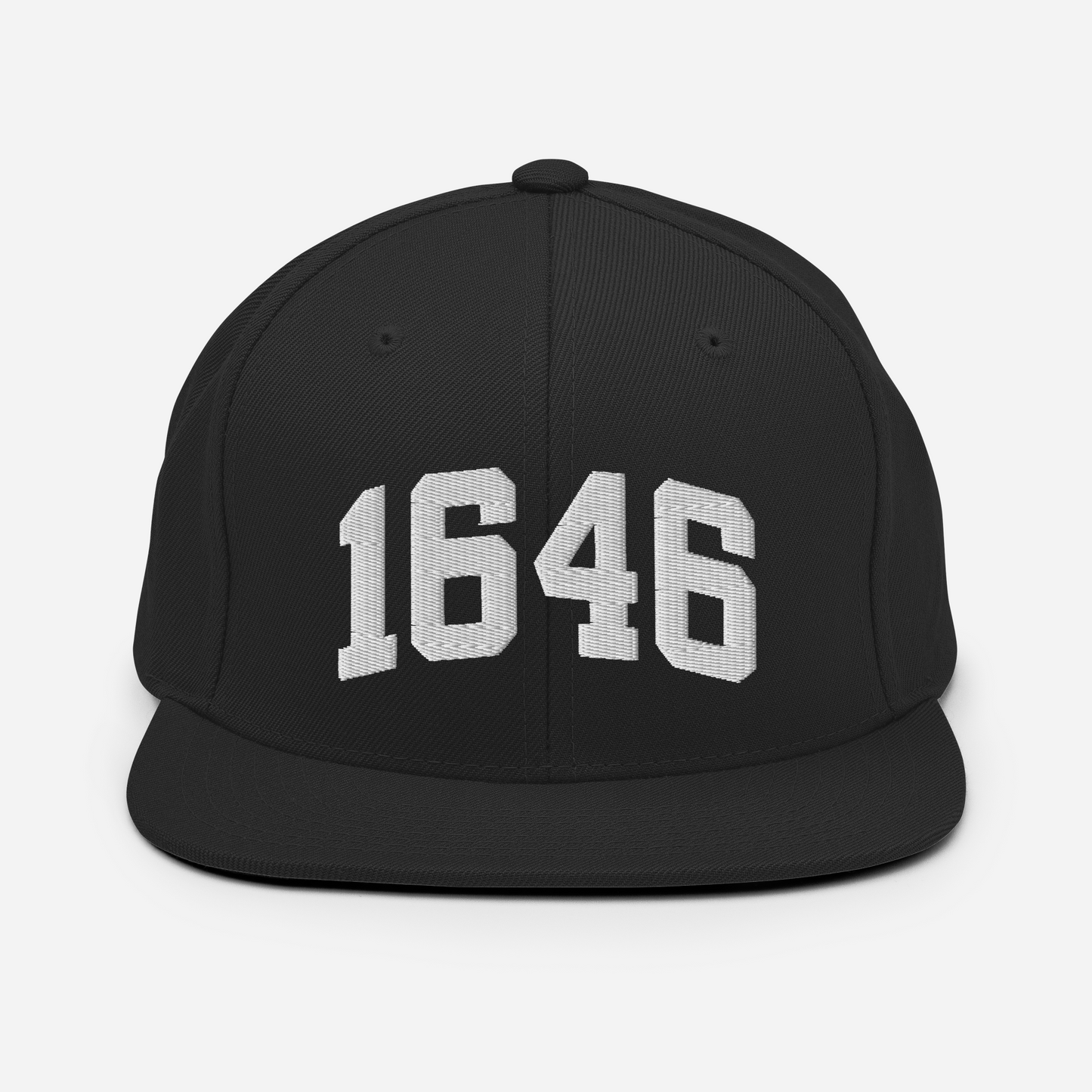 1646 Snapback Hat