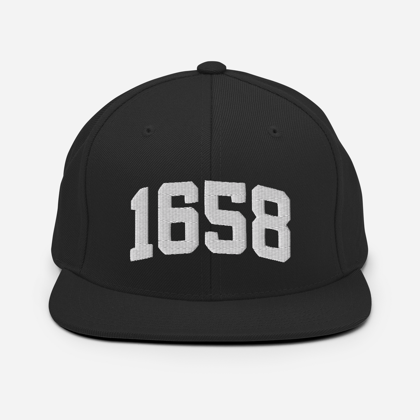 1658 Snapback Hat