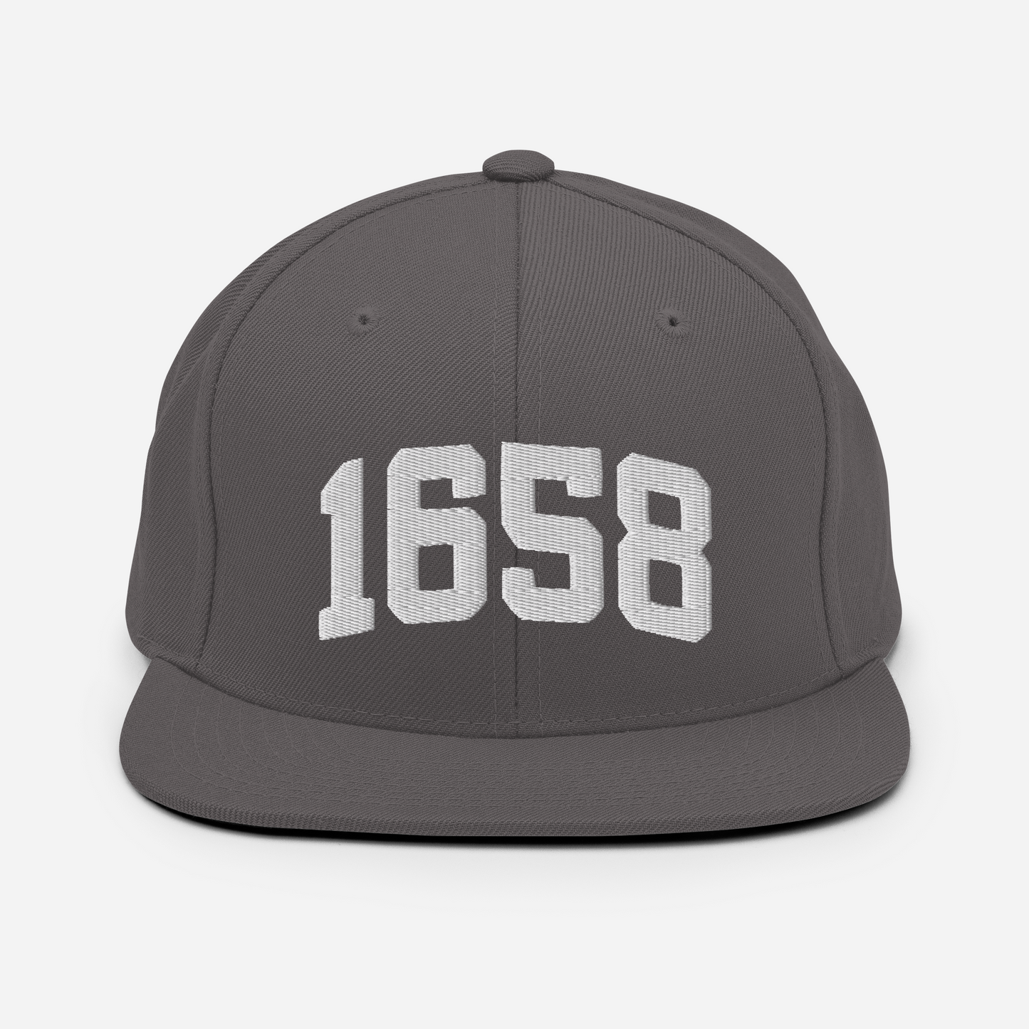 1658 Snapback Hat
