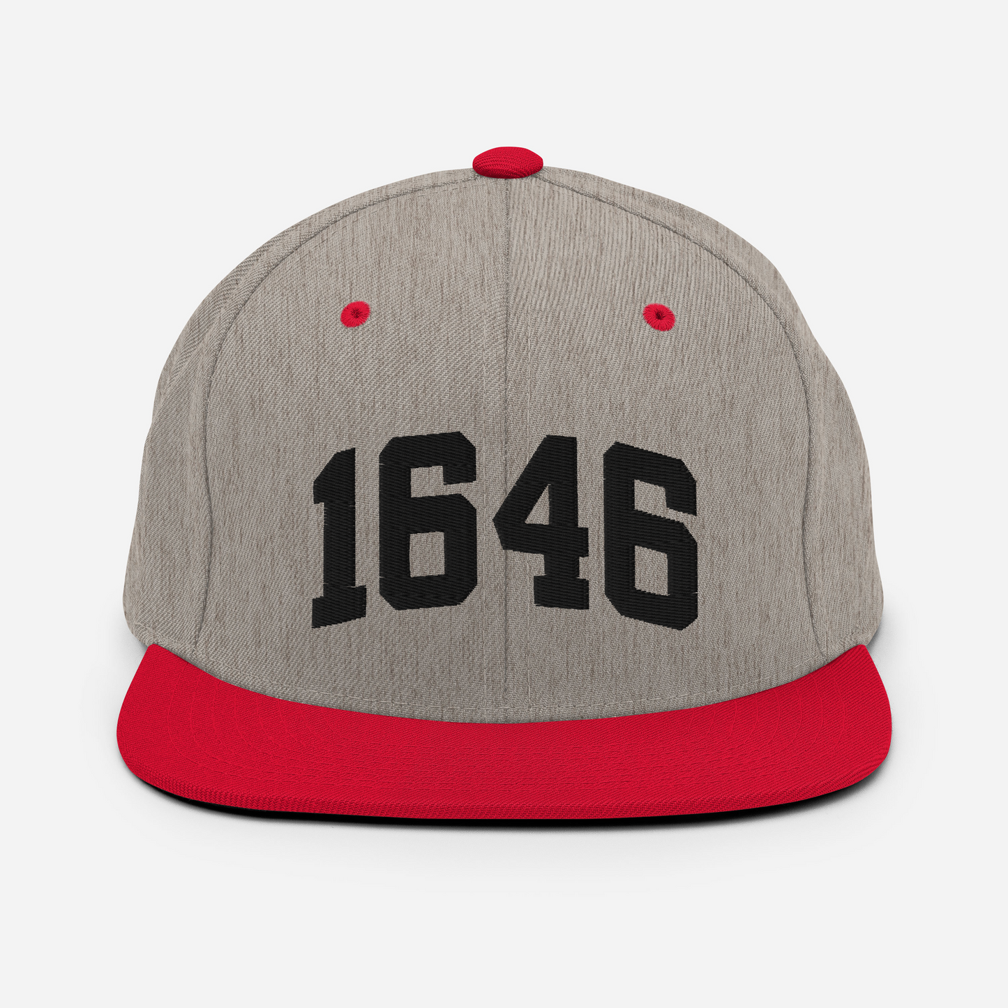 1646 Snapback Hat