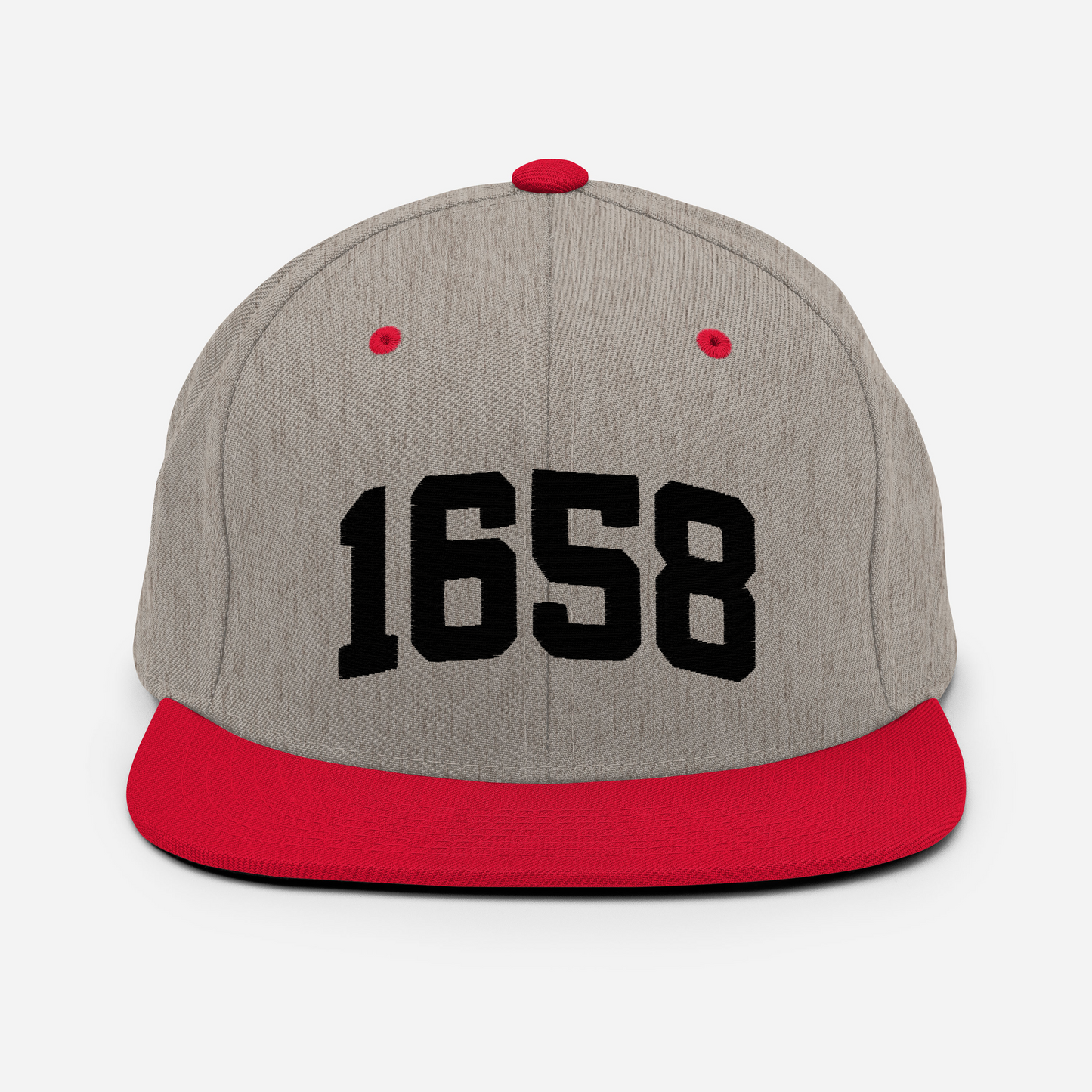 1658 Snapback Hat