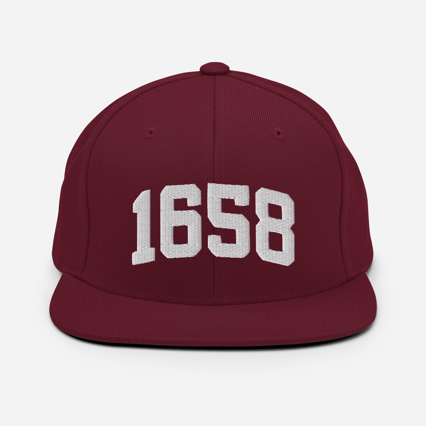 1658 Snapback Hat