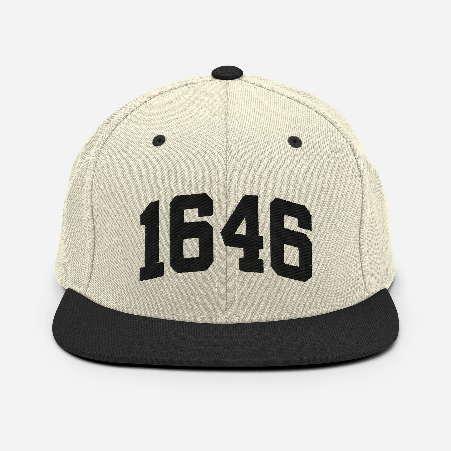 1646 Snapback Hat