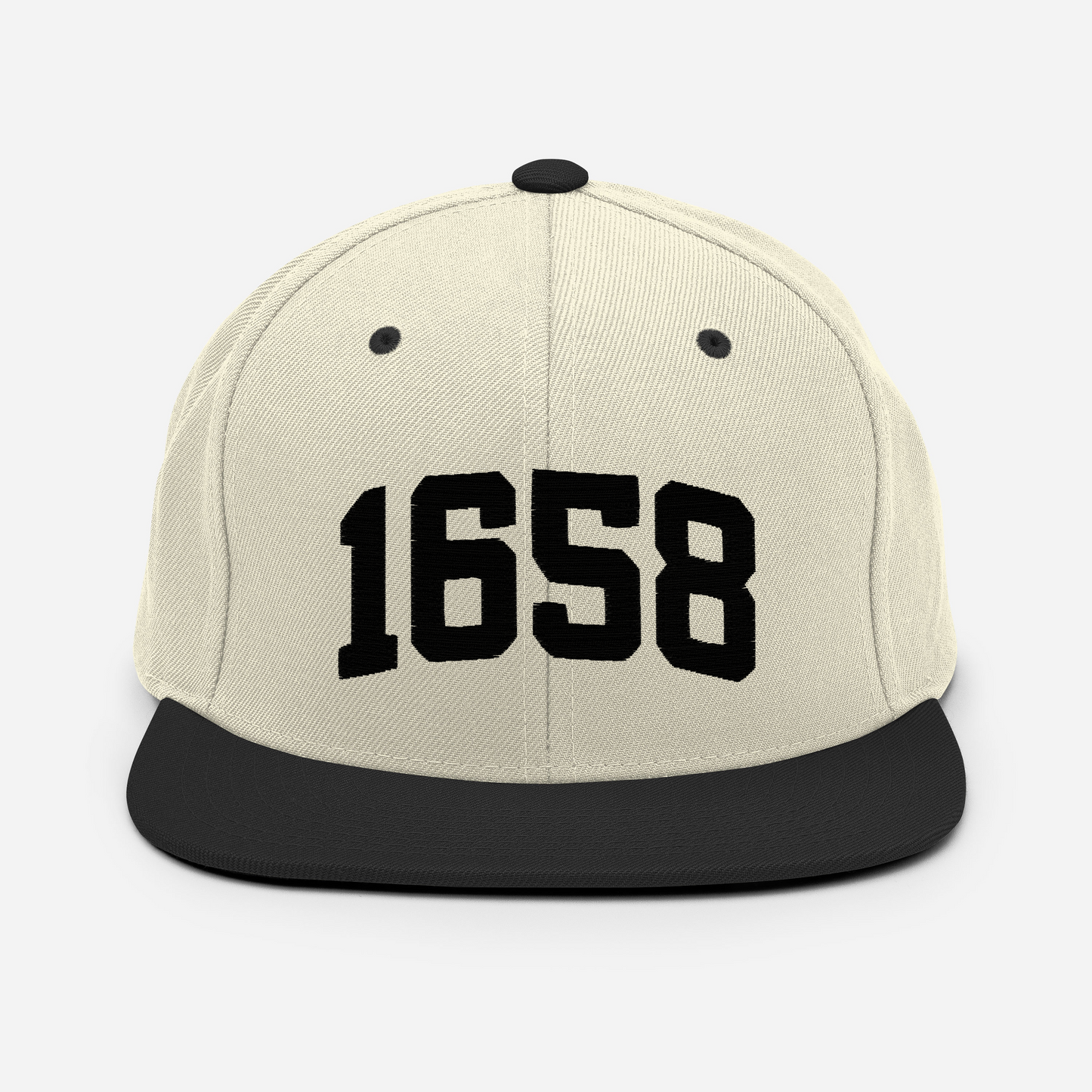 1658 Snapback Hat