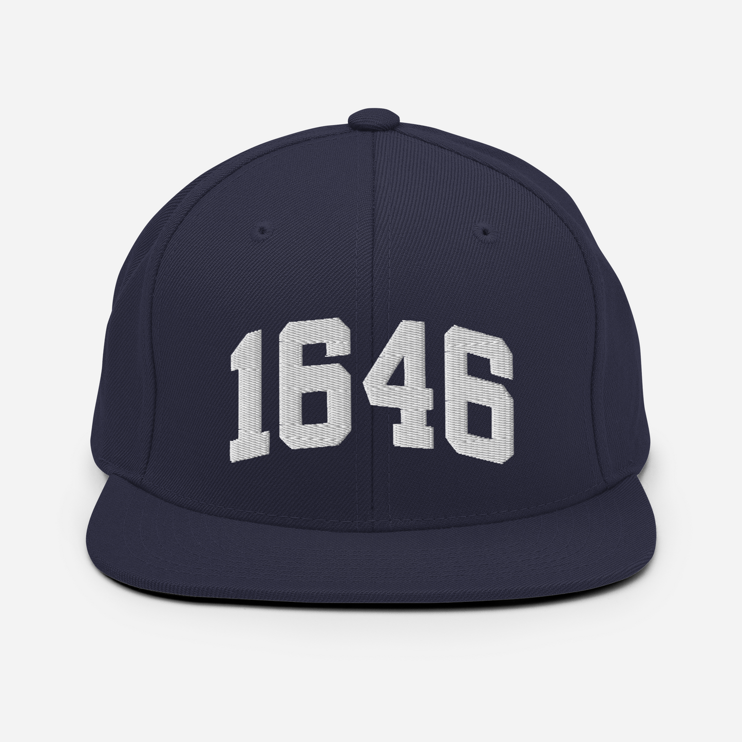 1646 Snapback Hat