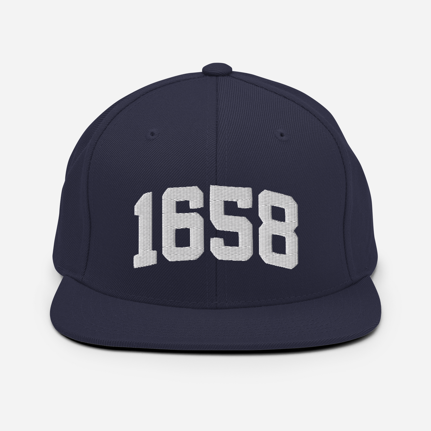 1658 Snapback Hat