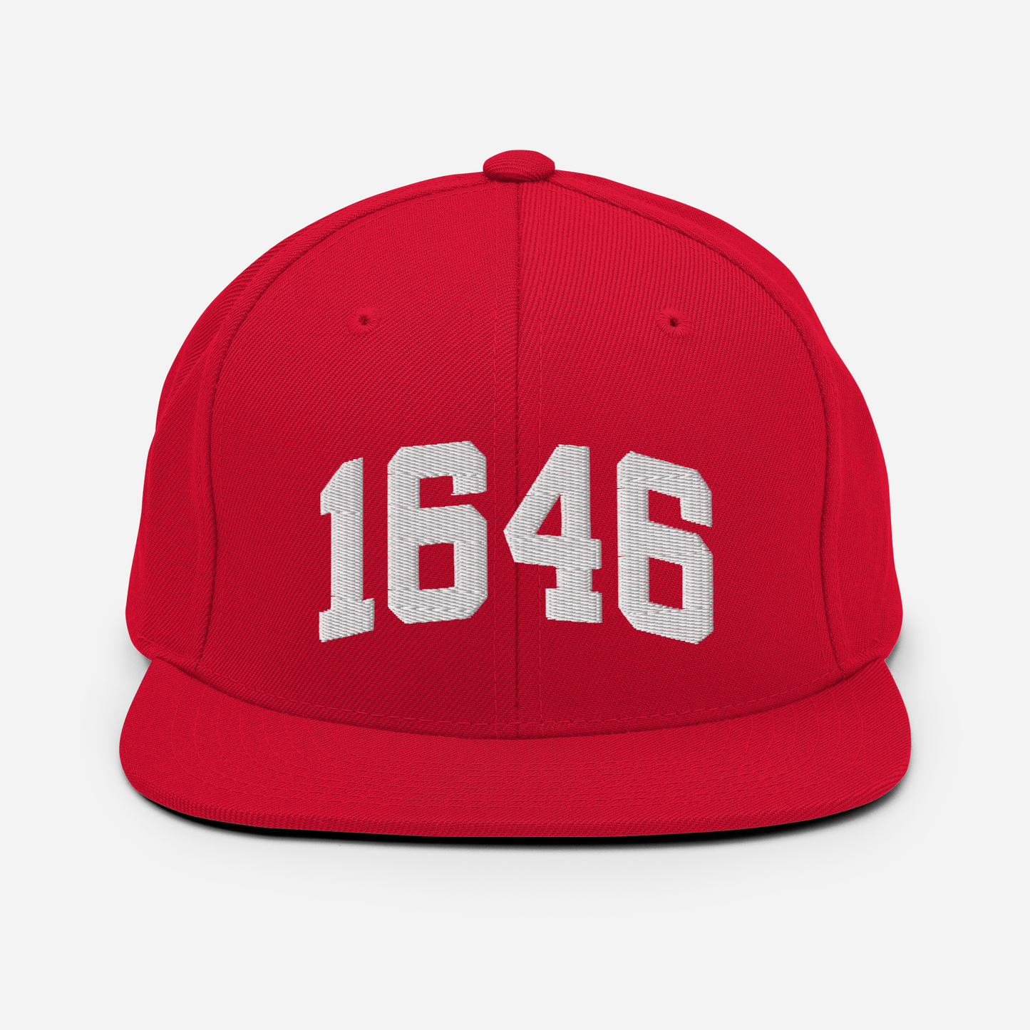1646 Snapback Hat
