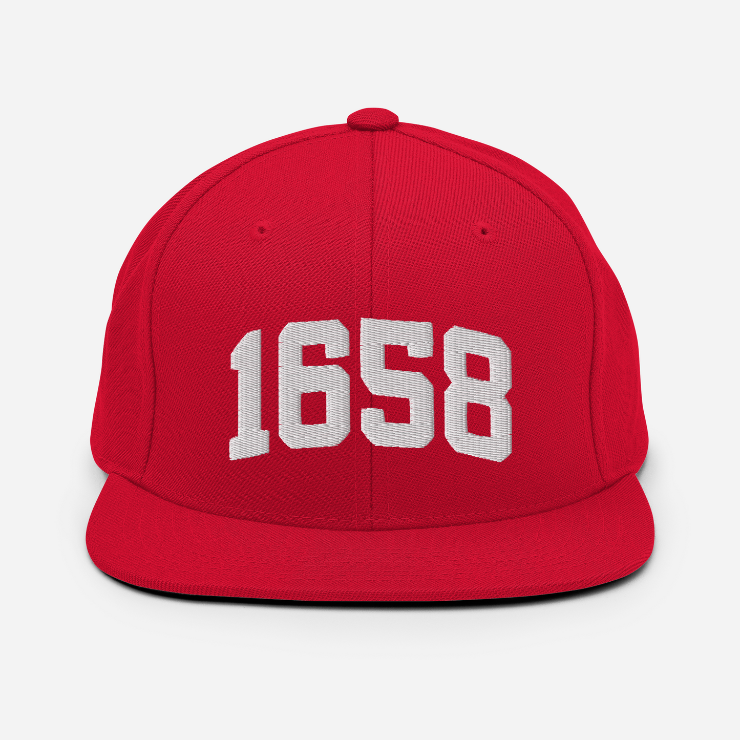 1658 Snapback Hat
