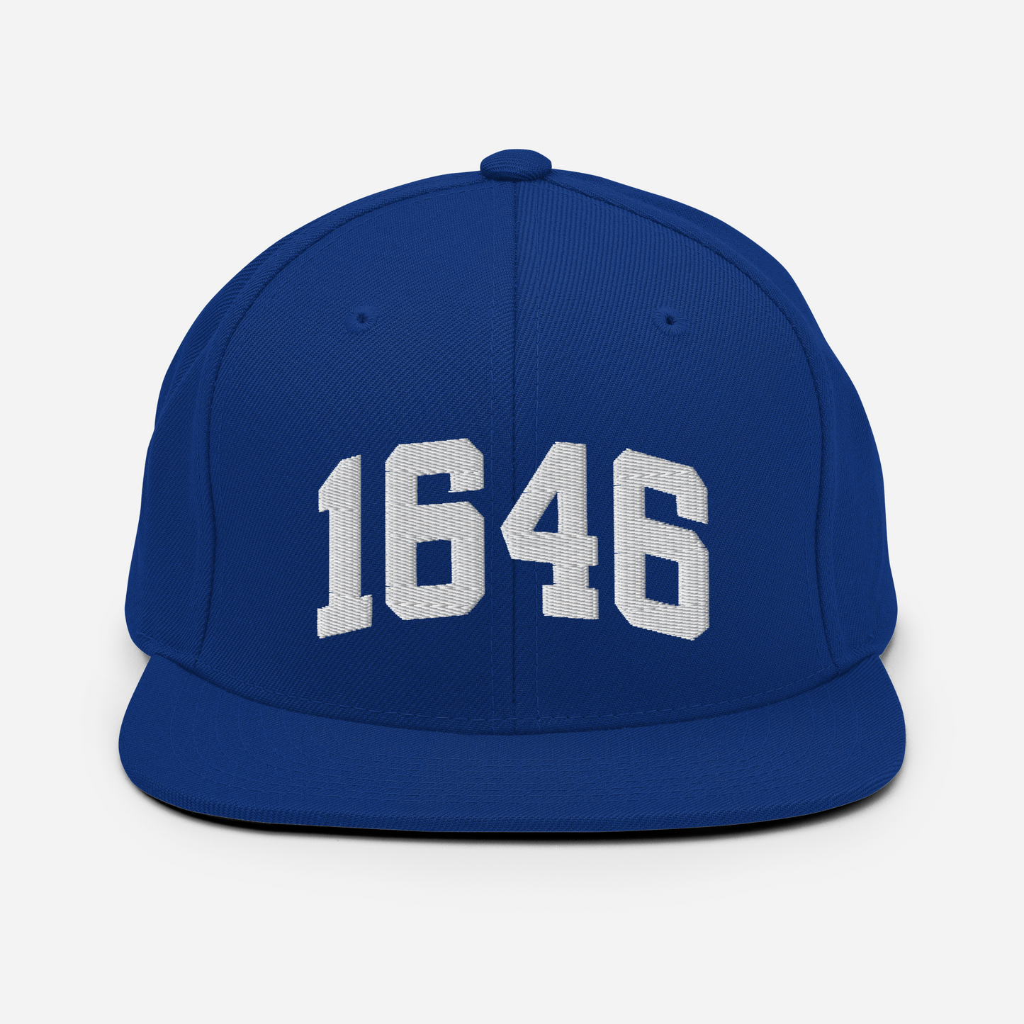 1646 Snapback Hat
