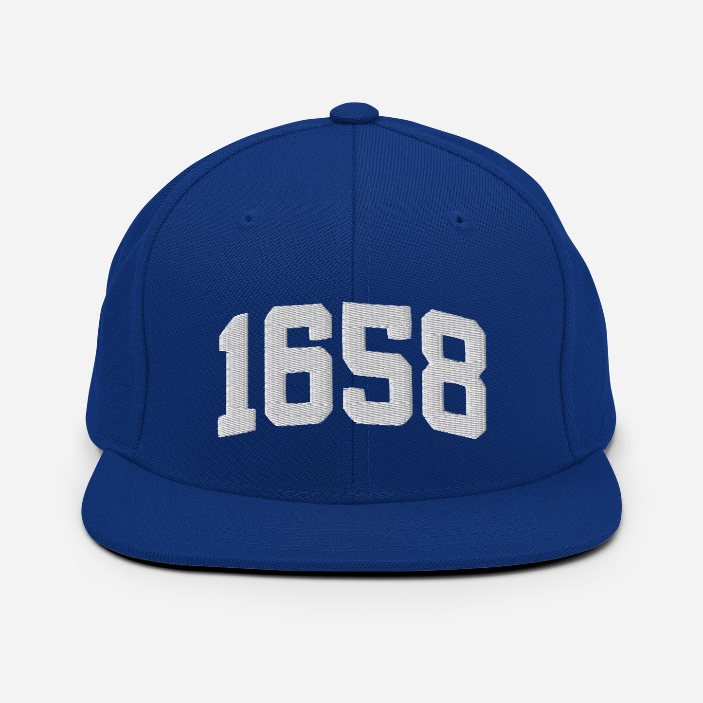 1658 Snapback Hat