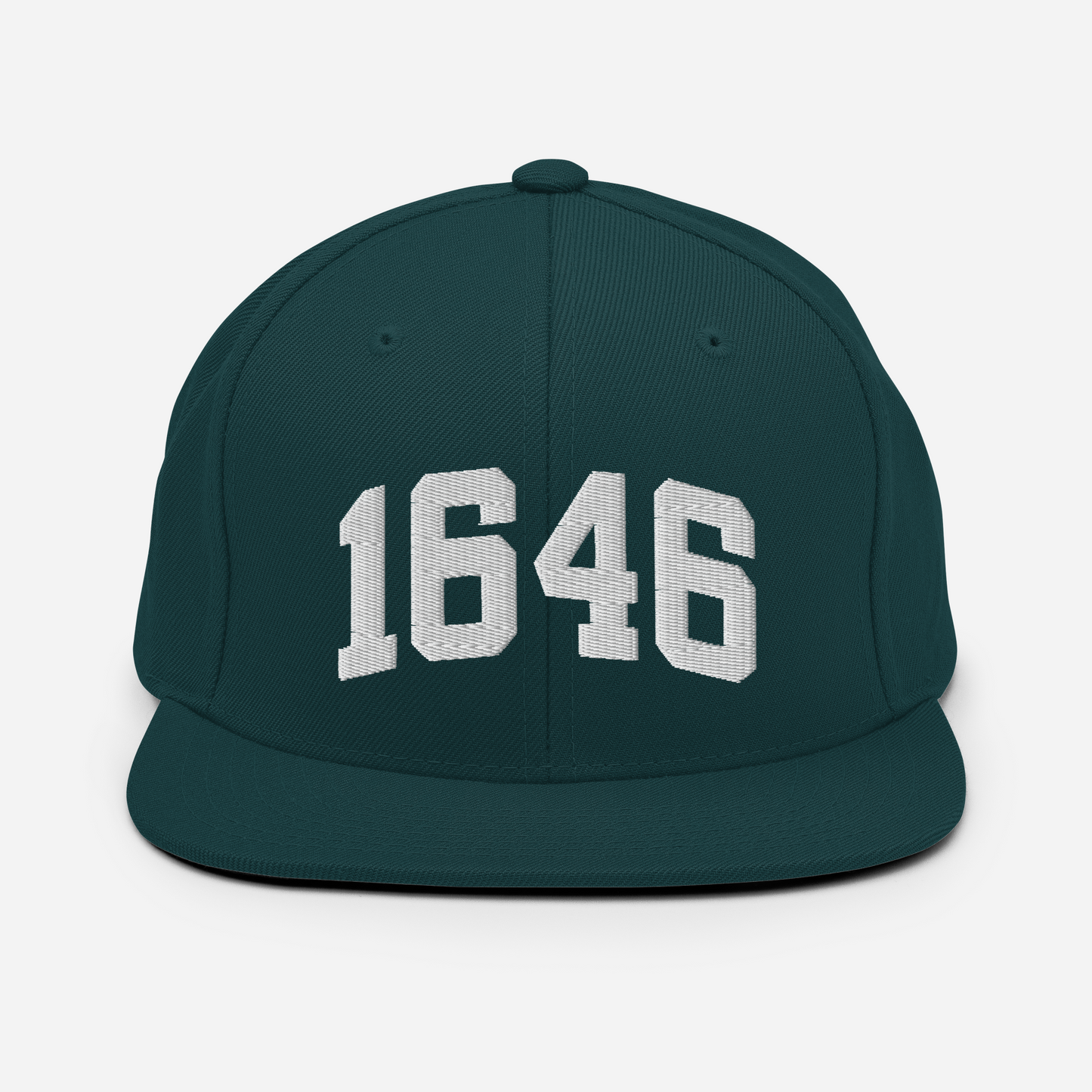 1646 Snapback Hat