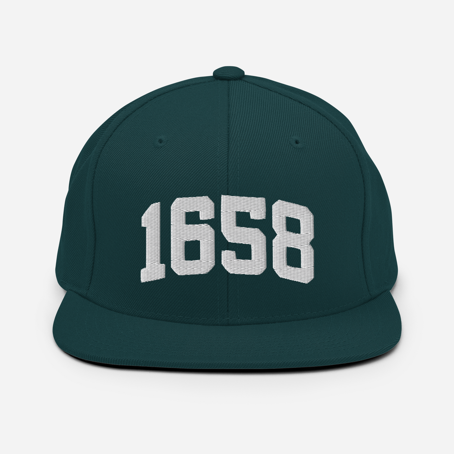 1658 Snapback Hat