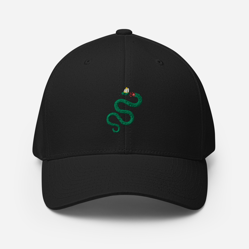 Semper Reformanda Fitted Hat - 1689 Designs
