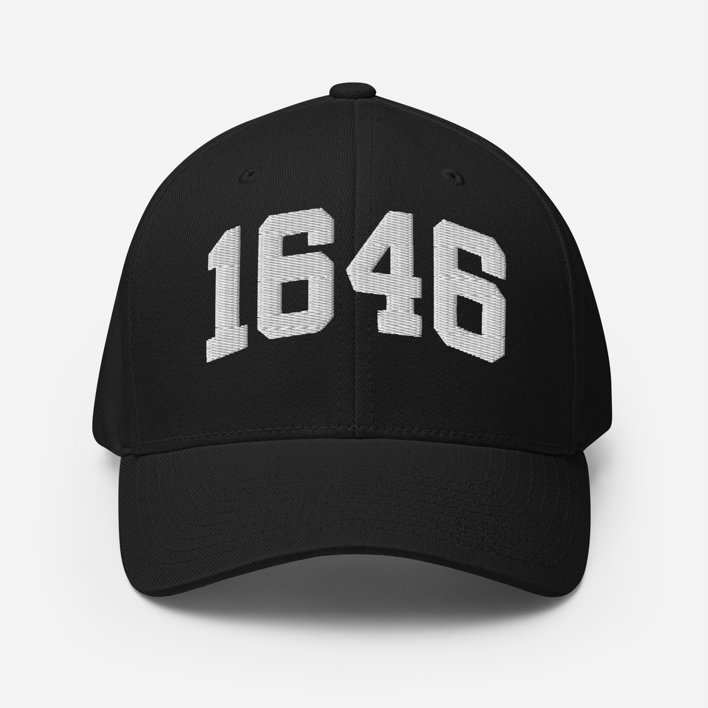 1646 Flexfit Hat