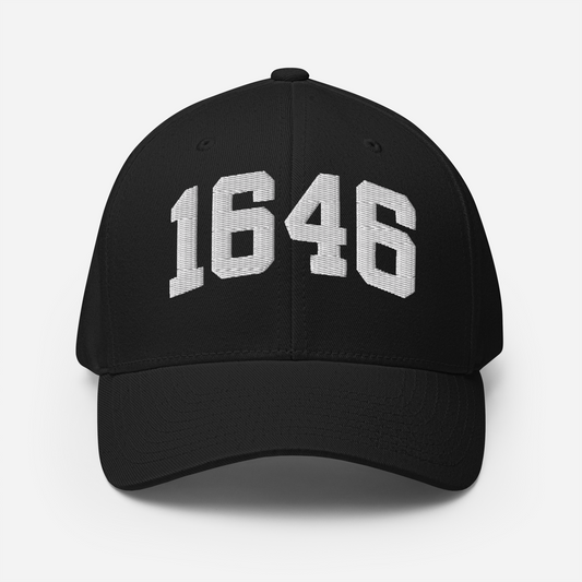 1646 Flexfit Hat