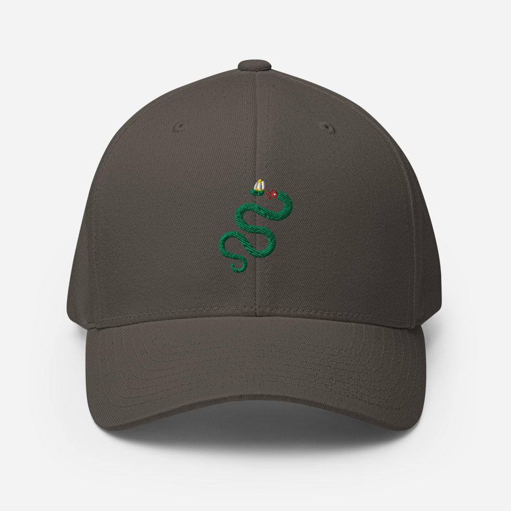 Semper Reformanda Fitted Hat - 1689 Designs