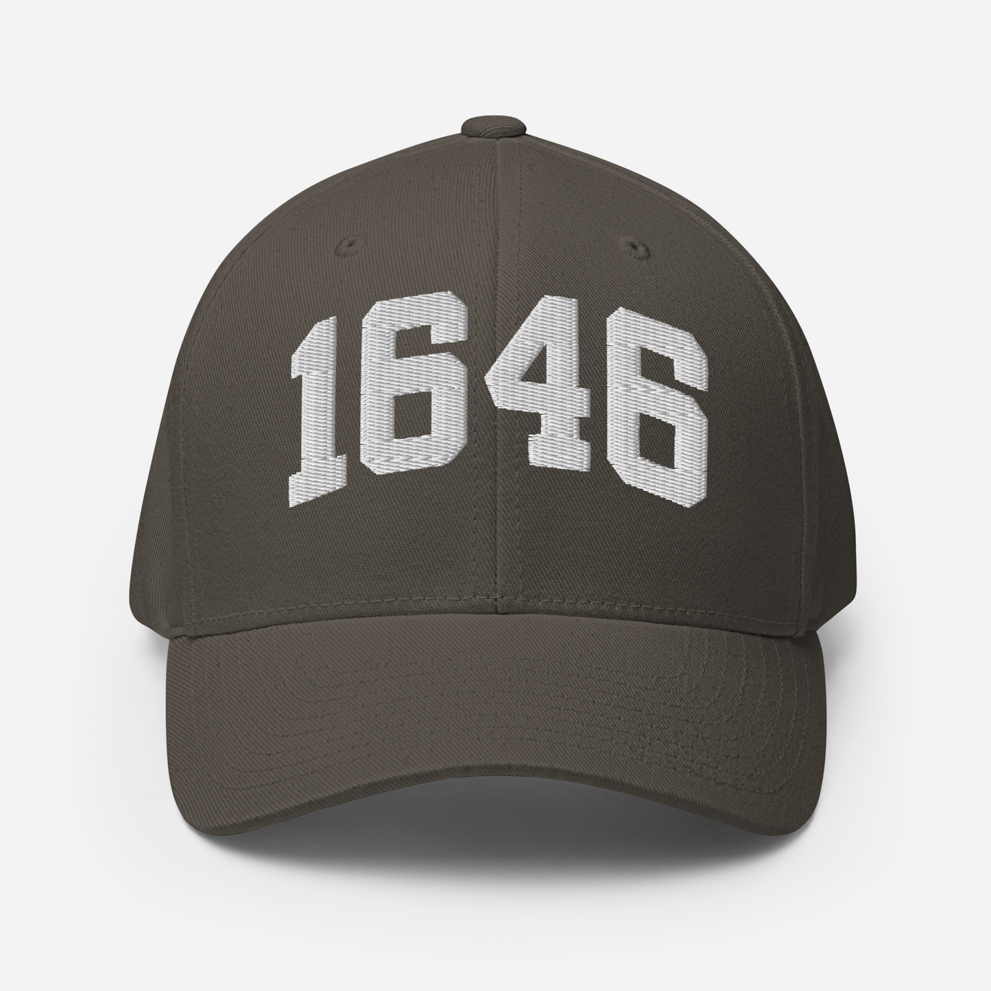 1646 Flexfit Hat