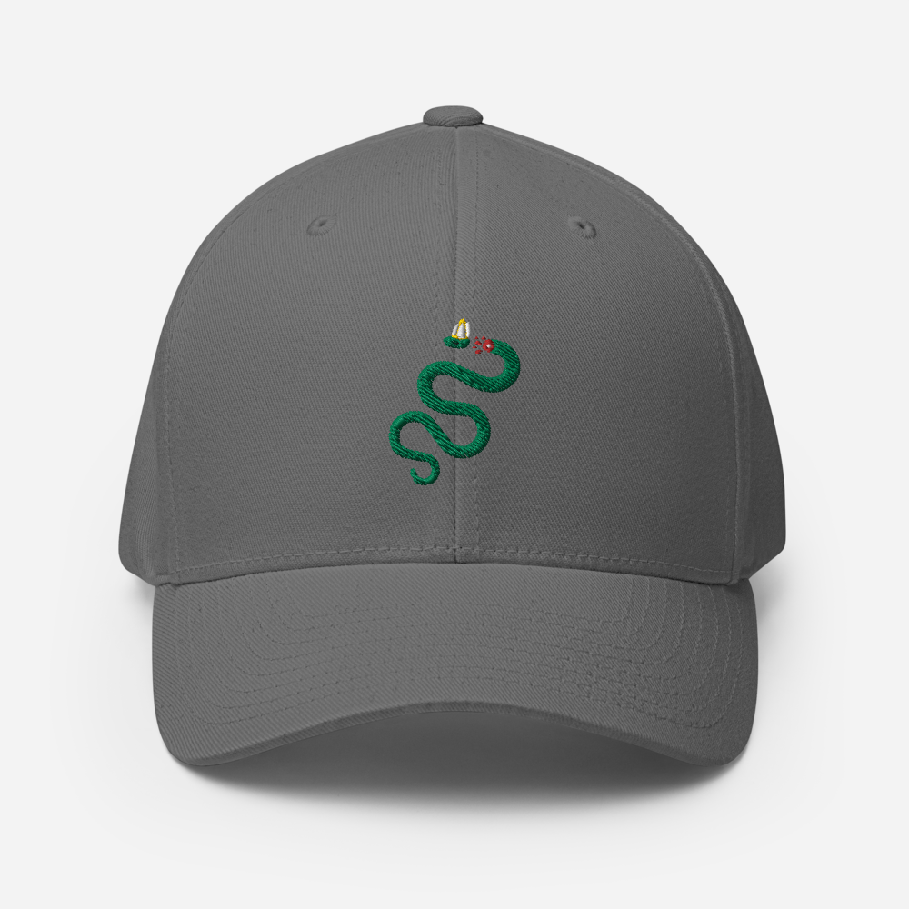 Semper Reformanda Fitted Hat - 1689 Designs