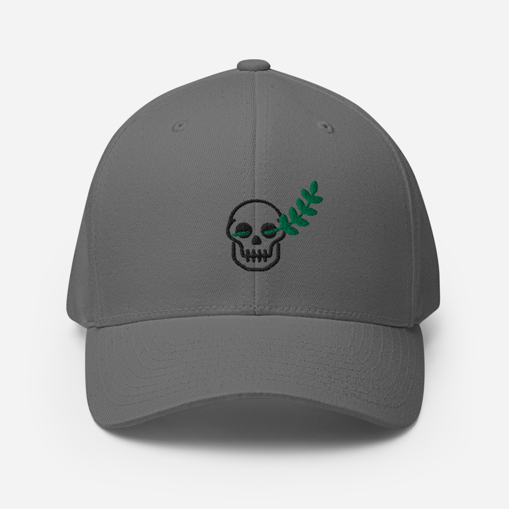 Felix Culpa Fitted Hat - 1689 Designs