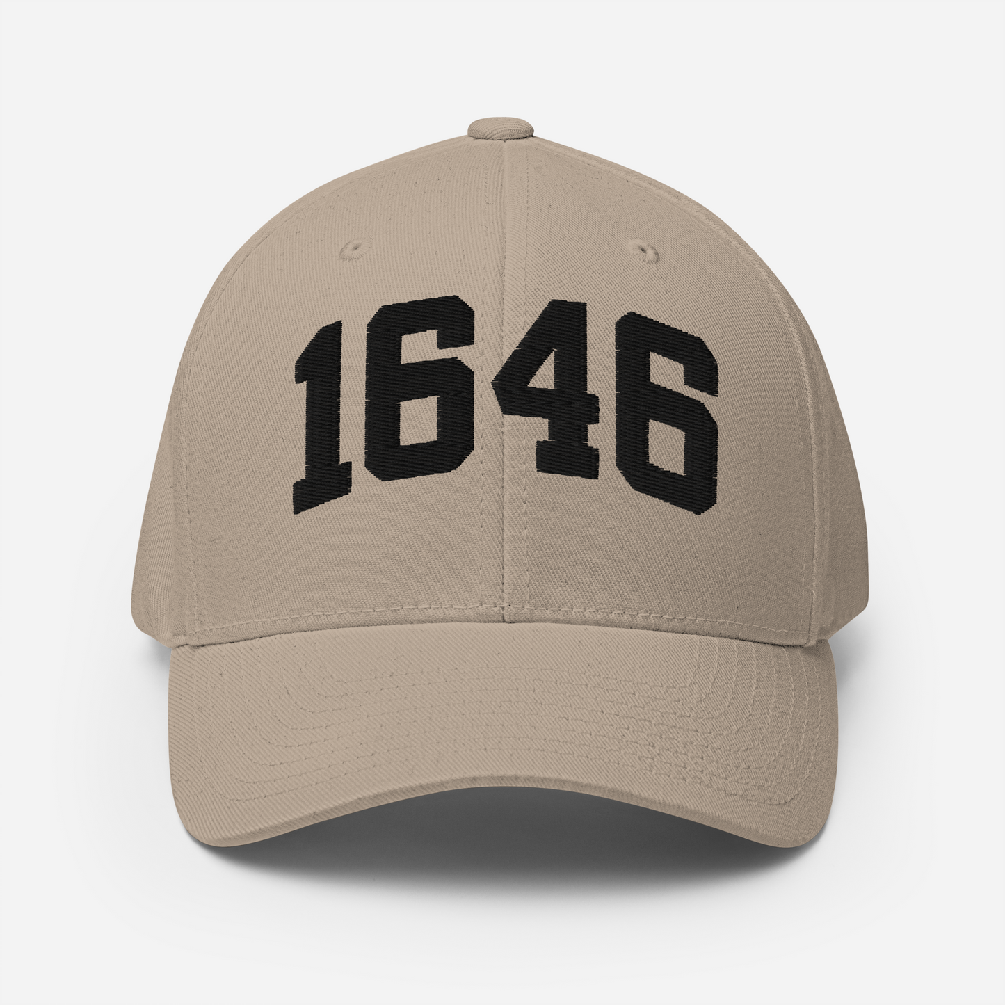 1646 Flexfit Hat
