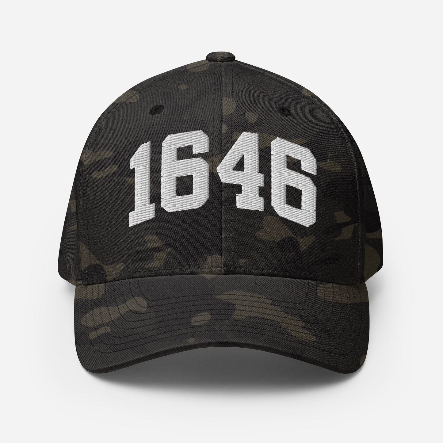 1646 Flexfit Hat