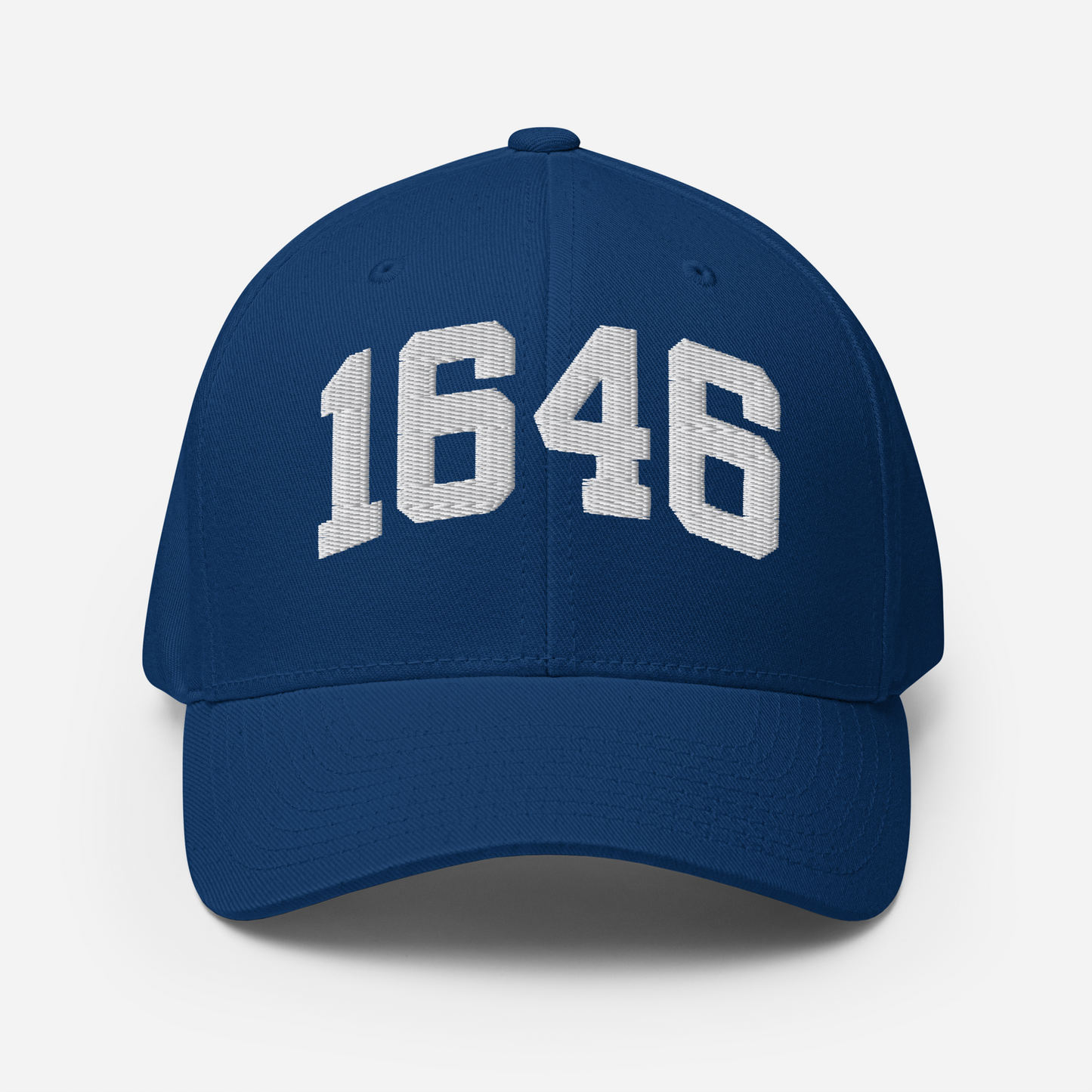 1646 Flexfit Hat
