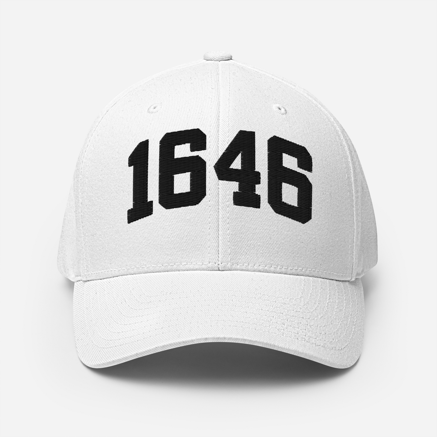 1646 Flexfit Hat