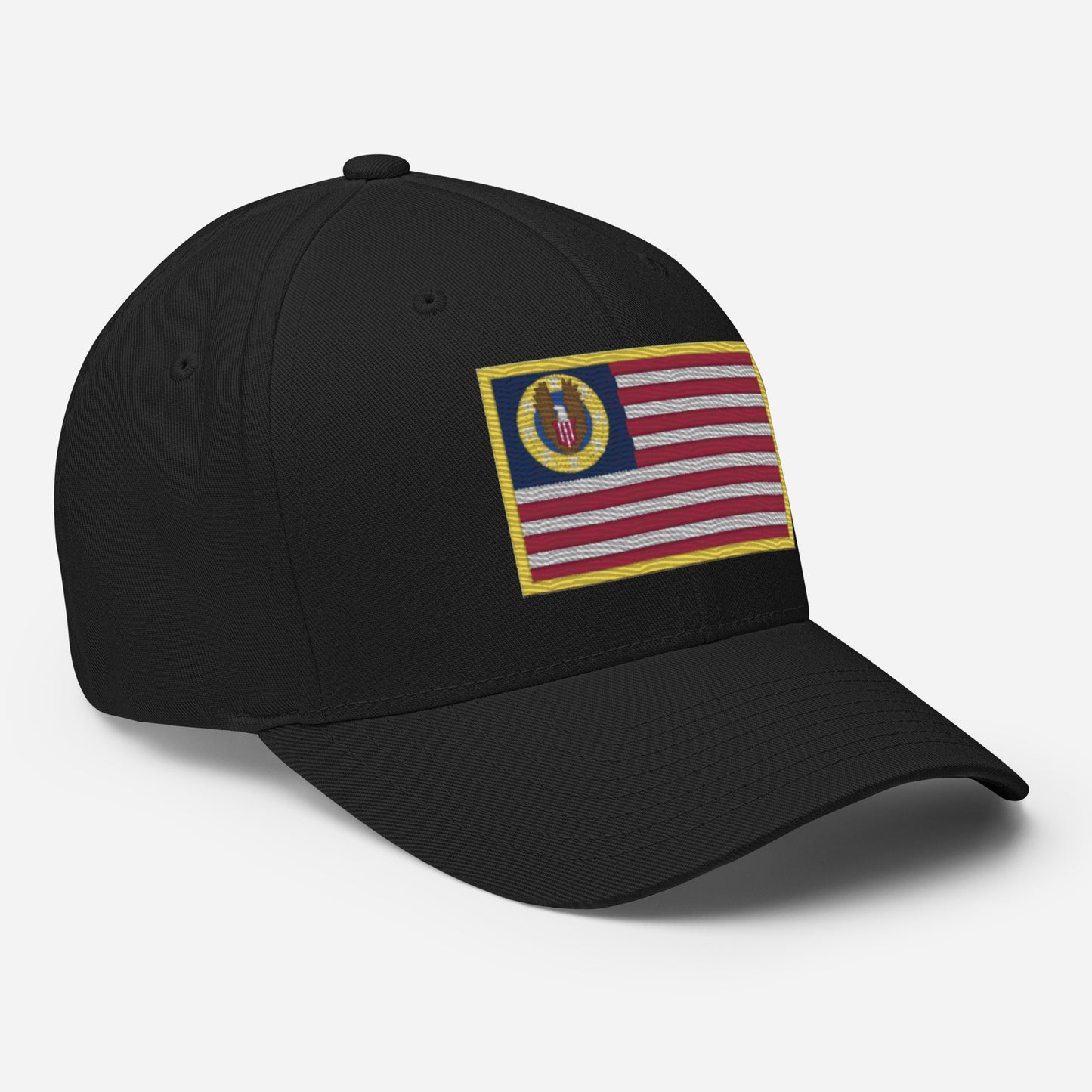 Know Nothing Flexfit Hat (Flag Only)