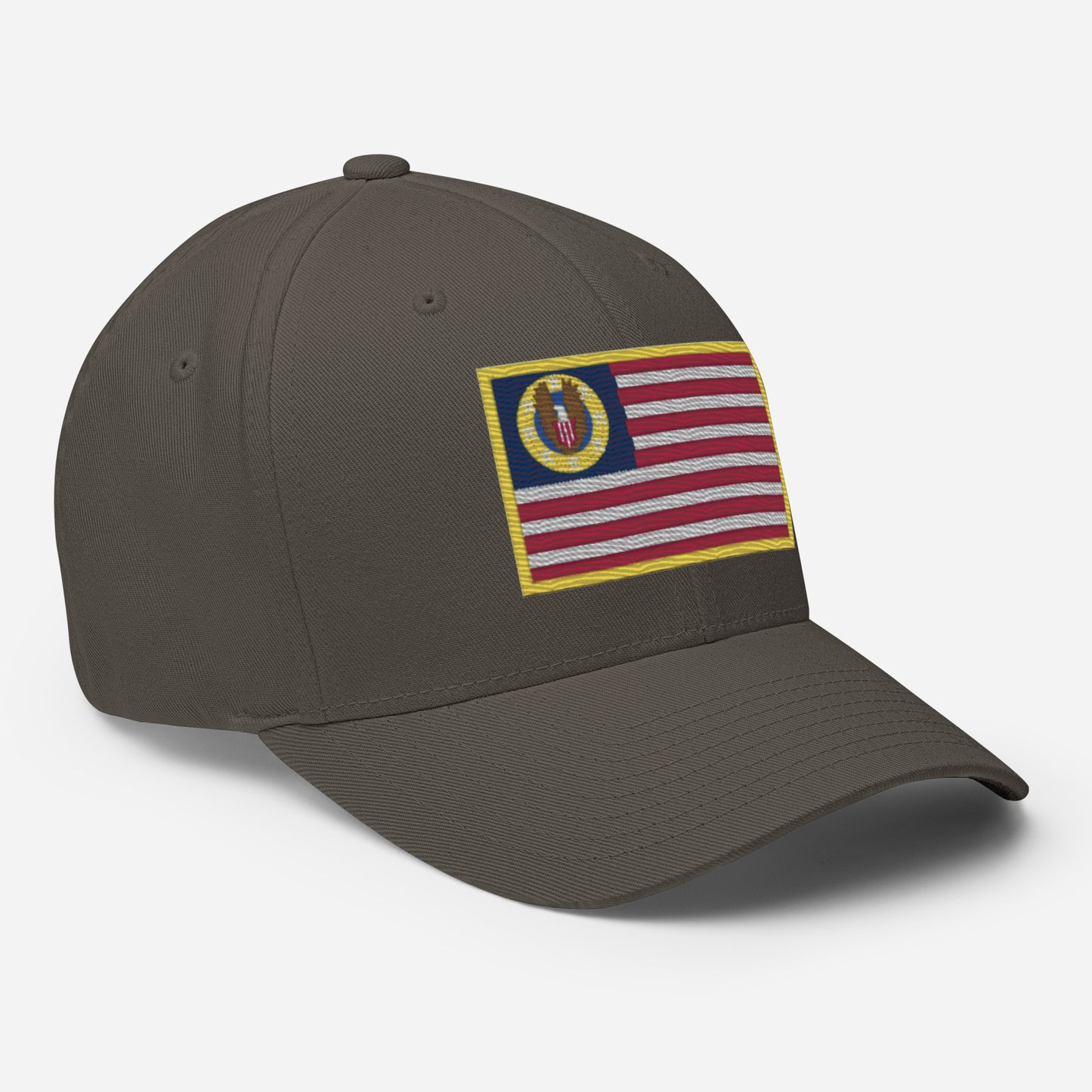 Know Nothing Flexfit Hat (Flag Only)