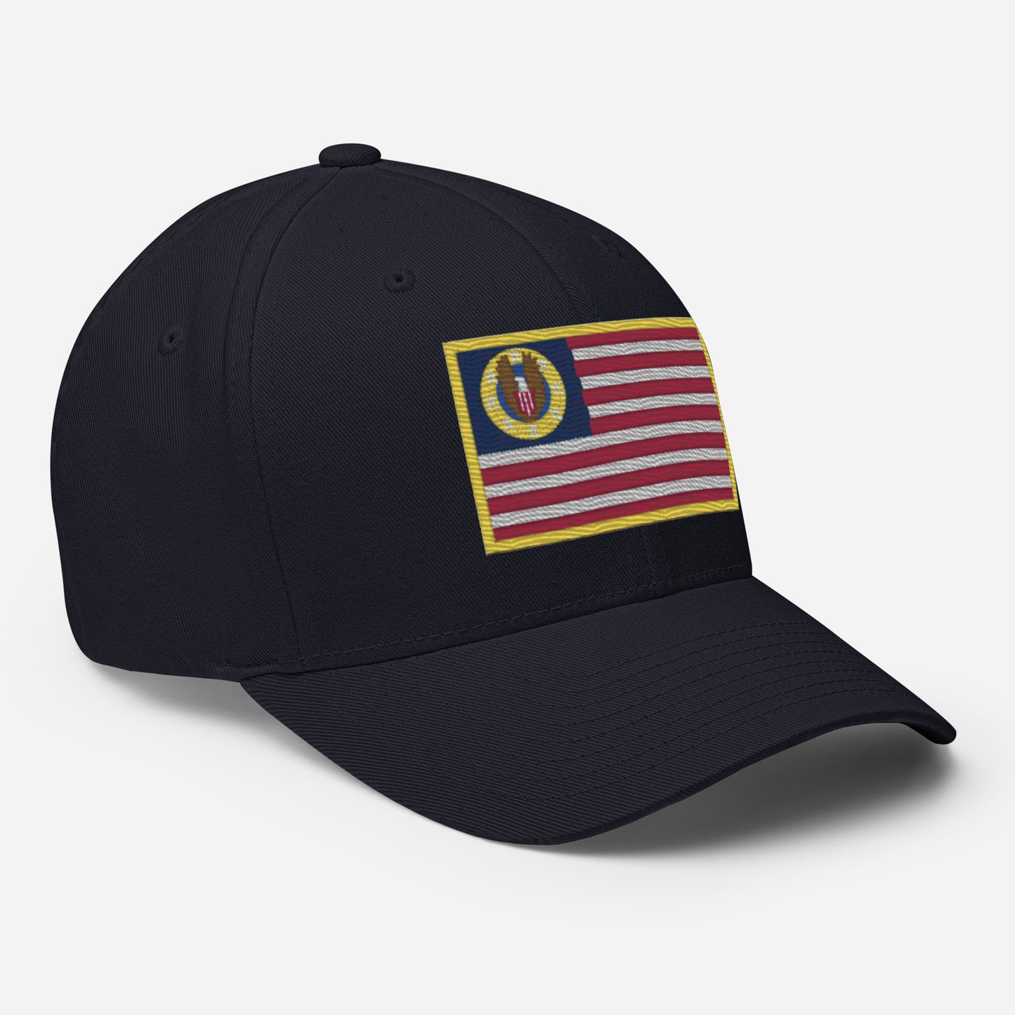 Know Nothing Flexfit Hat (Flag Only)