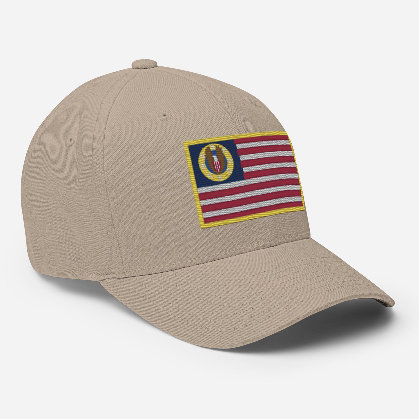 Know Nothing Flexfit Hat (Flag Only)
