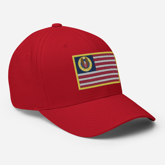 Know Nothing Flexfit Hat (Flag Only)