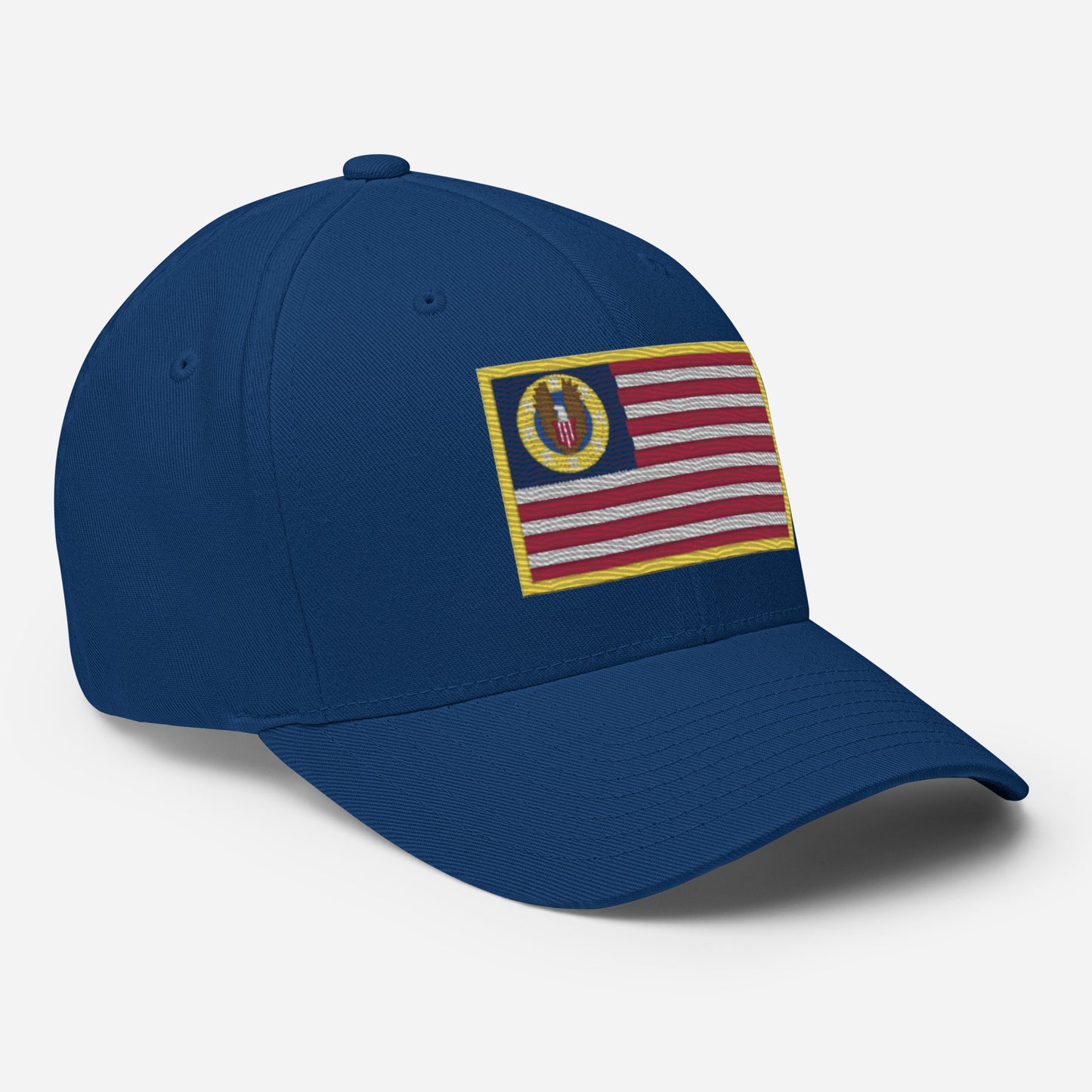 Know Nothing Flexfit Hat (Flag Only)