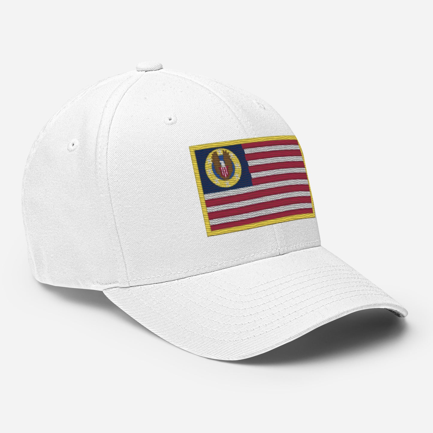 Know Nothing Flexfit Hat (Flag Only)