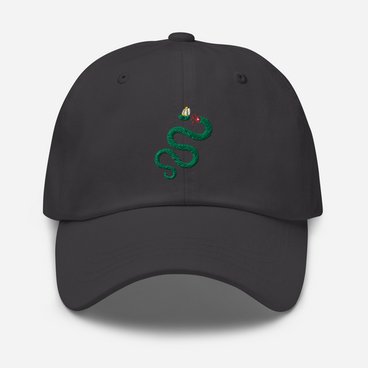 Semper Reformanda Dad Hat - 1689 Designs
