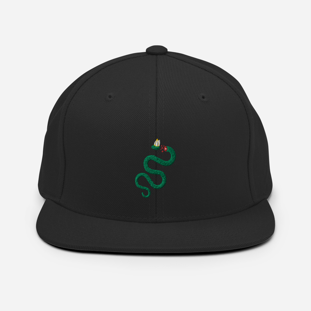 Semper Reformanda Snapback Hat - 1689 Designs