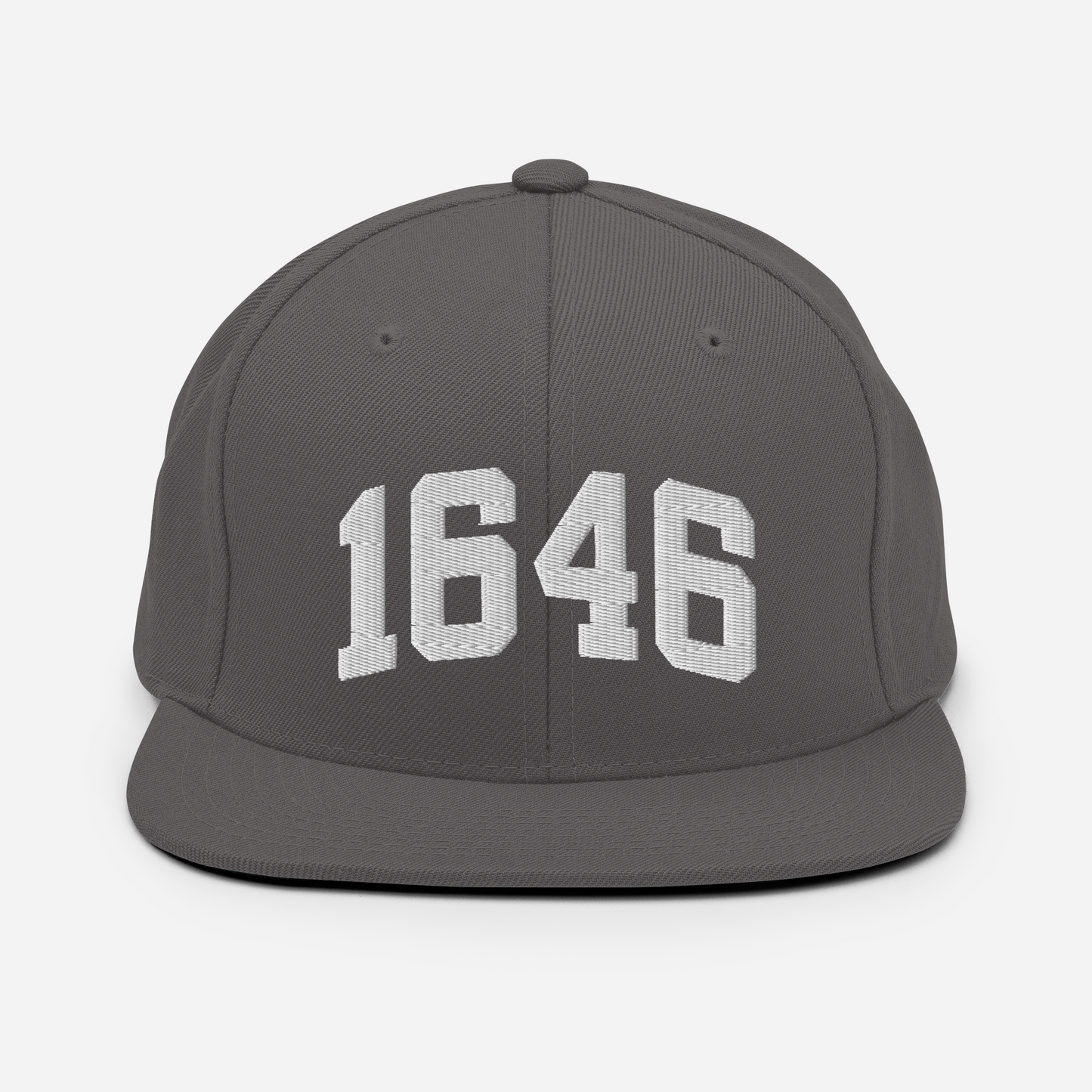 1646 Snapback Hat