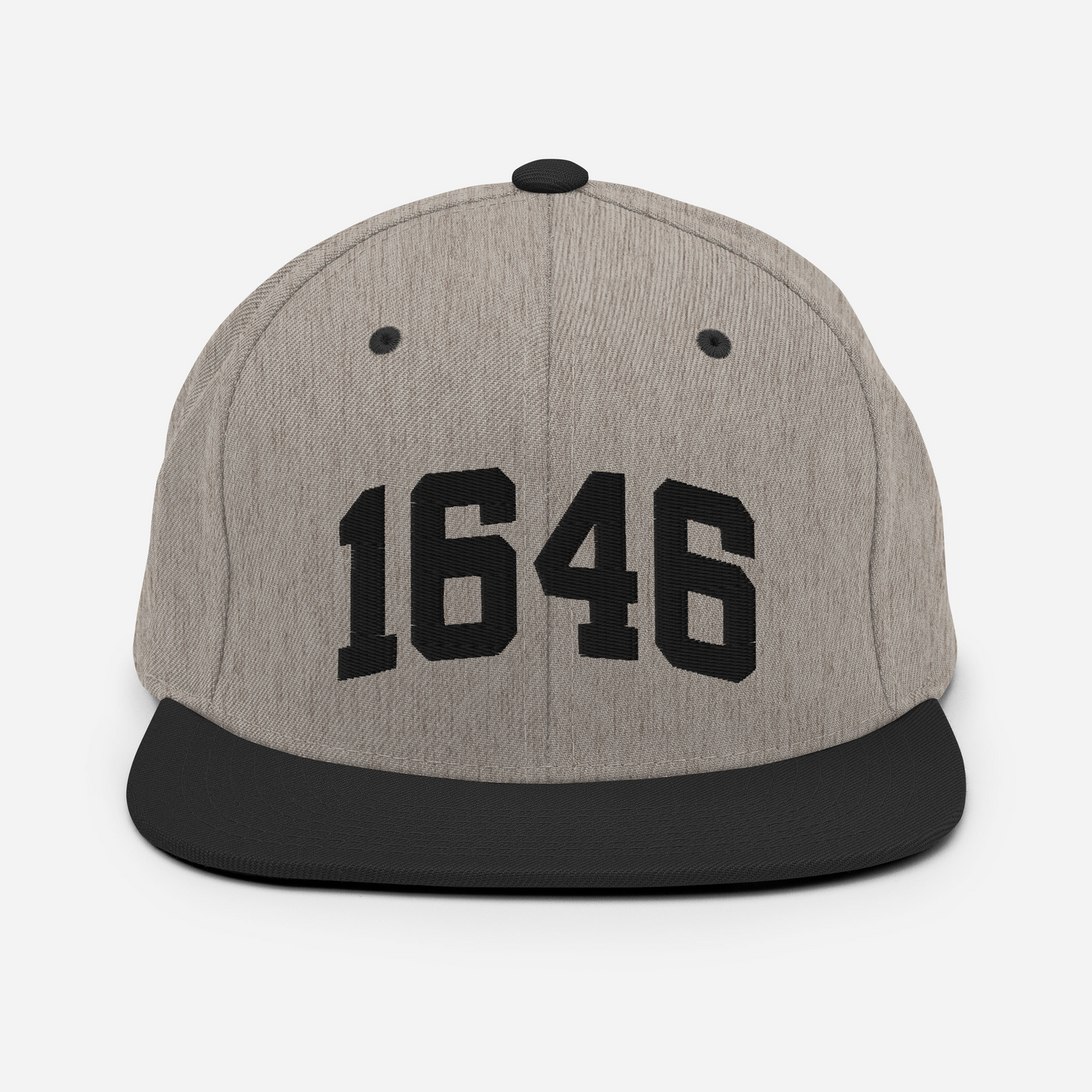 1646 Snapback Hat