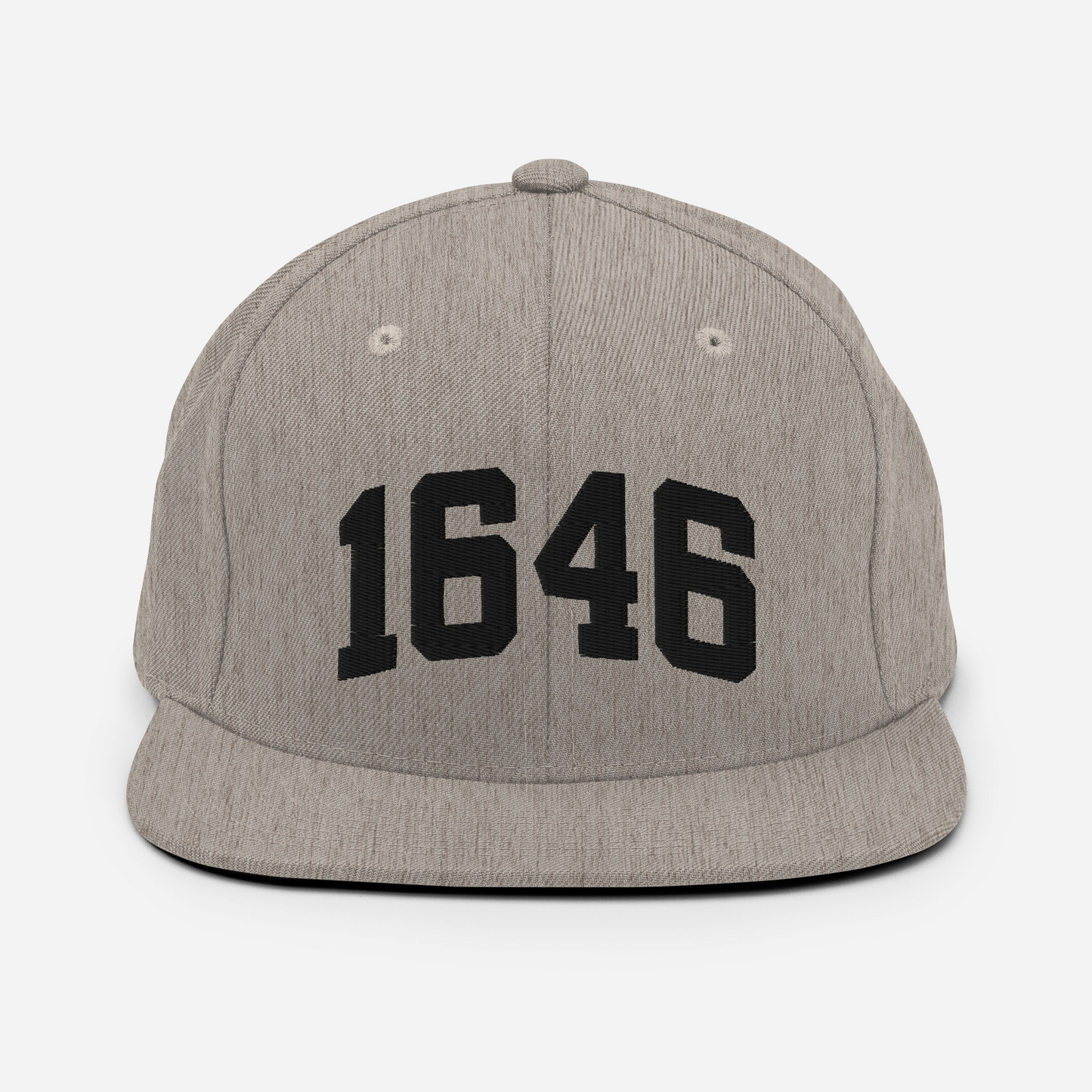 1646 Snapback Hat