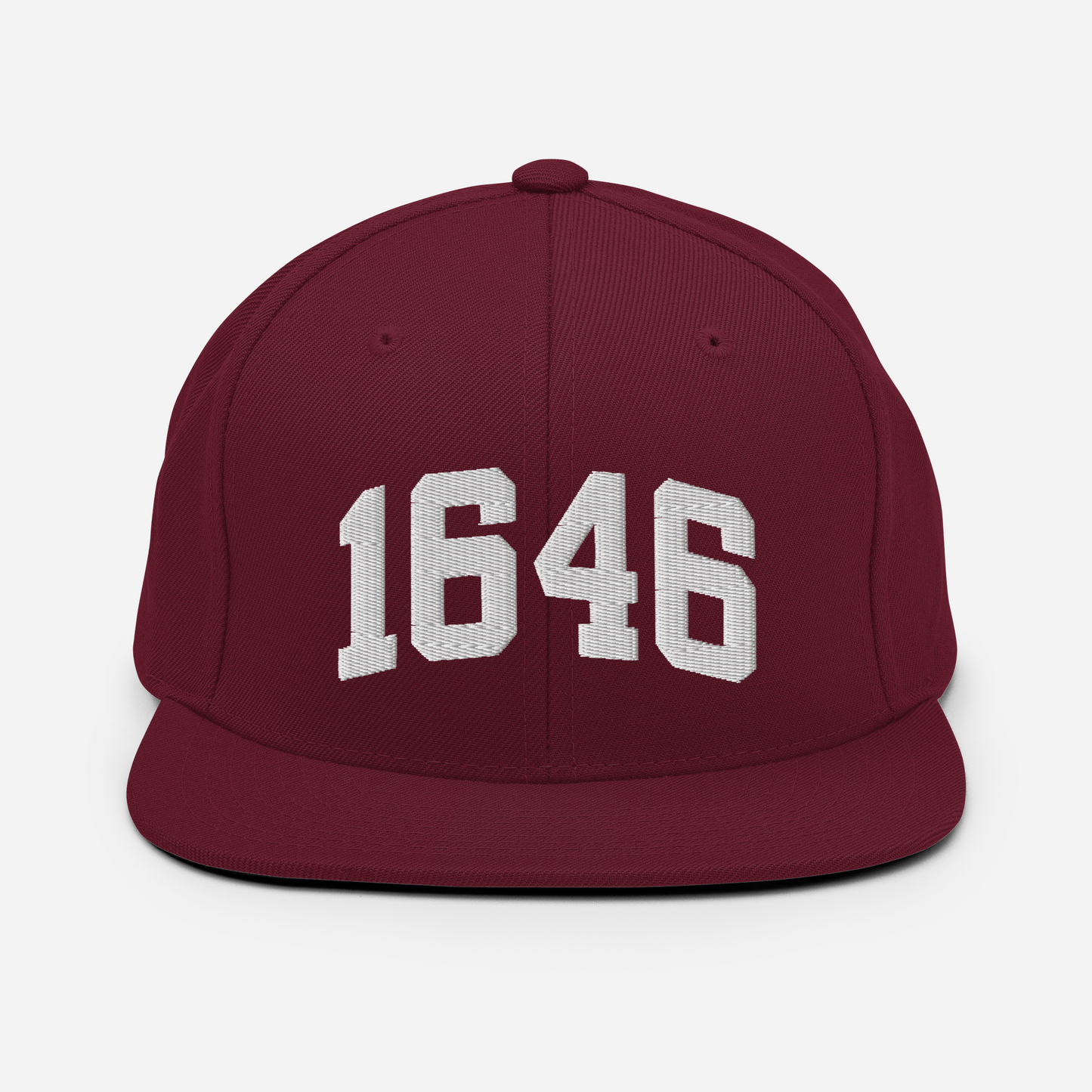 1646 Snapback Hat