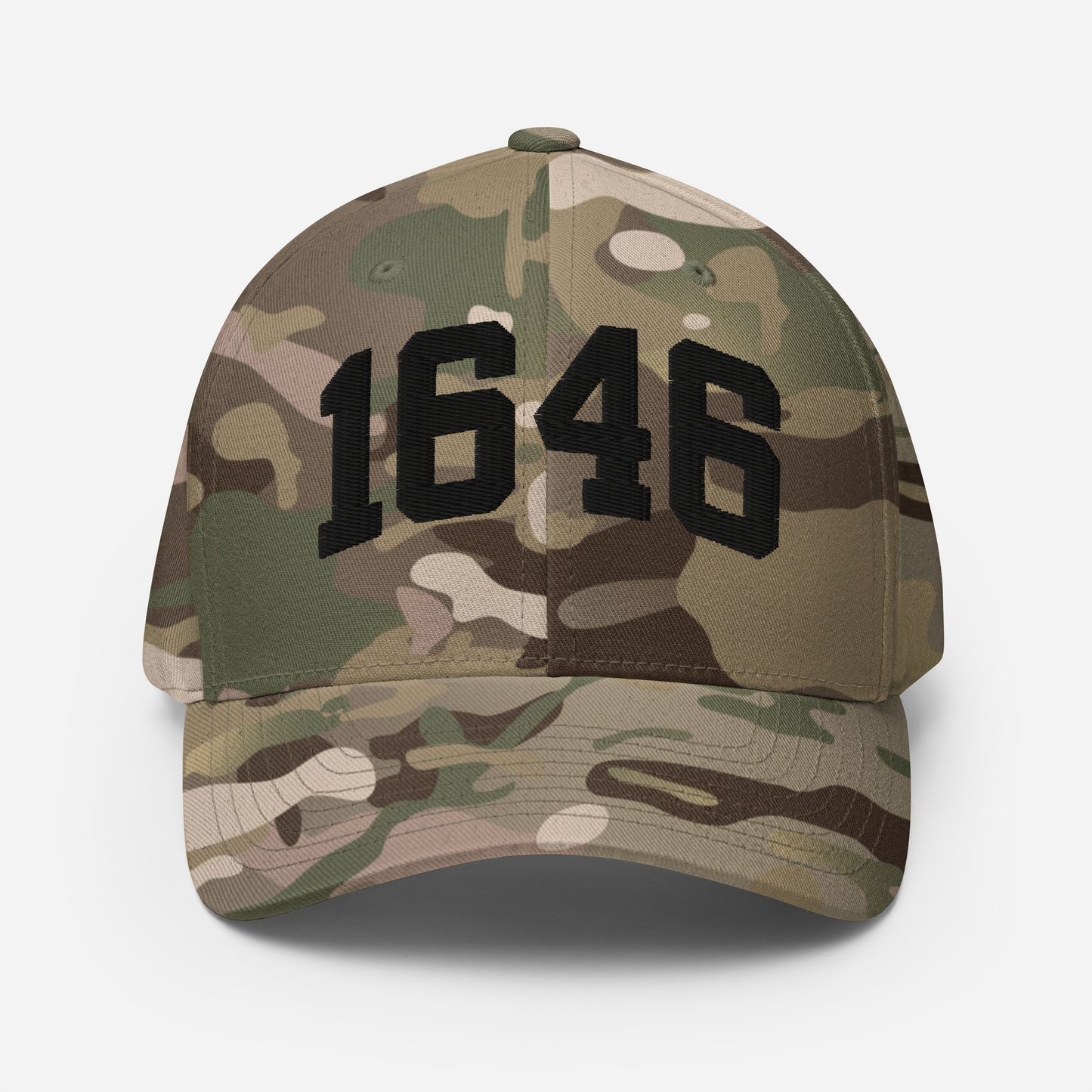 1646 Flexfit Hat
