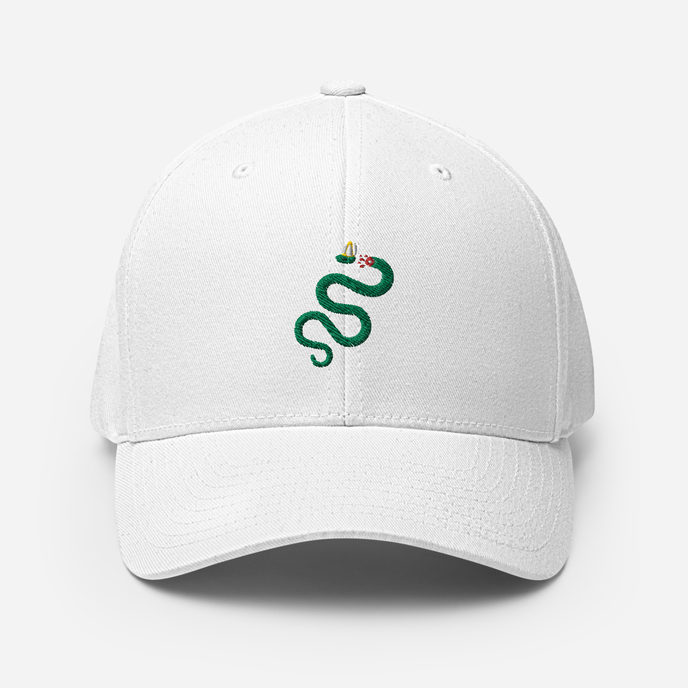 Semper Reformanda Fitted Hat - 1689 Designs