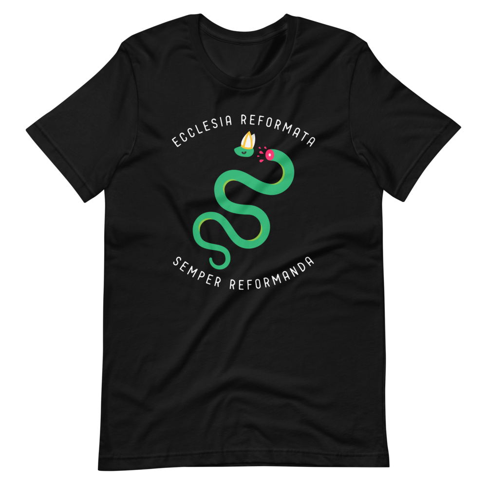 Semper Reformanda T-Shirt - 1689 Designs