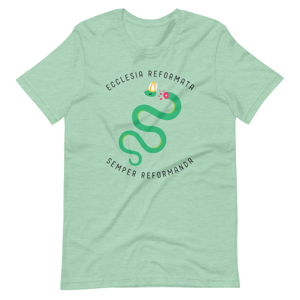 Semper Reformanda T-Shirt - 1689 Designs