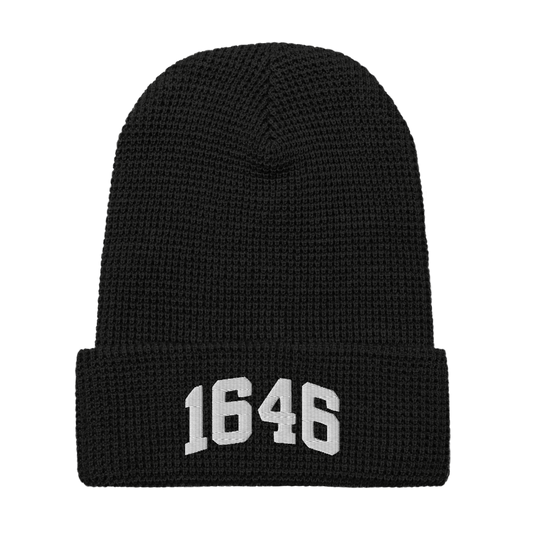 1646 Beanie