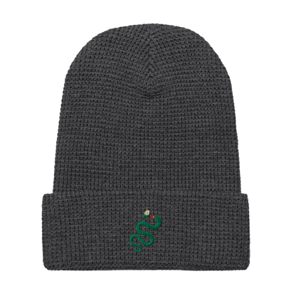 We Affirm Against The Papacy Beanie