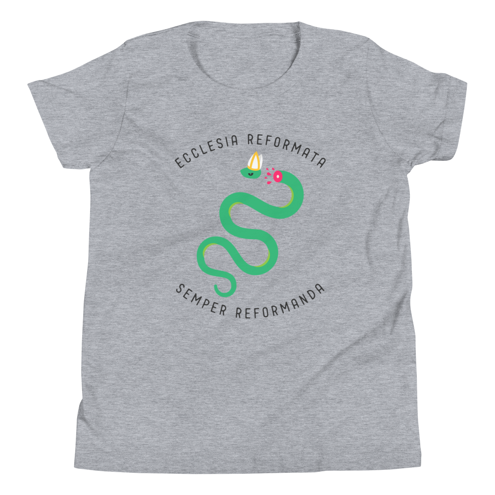 Semper Reformanda Youth T-Shirt - 1689 Designs