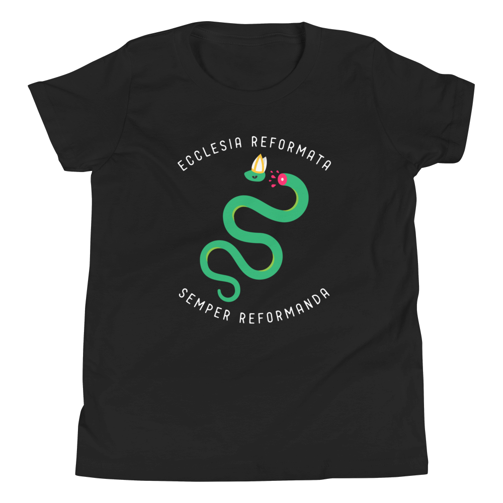 Semper Reformanda Youth T-Shirt - 1689 Designs