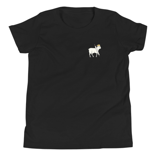 Prophet, Priest, & King Youth T-Shirt - 1689 Designs